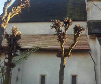 Oprava strechy na ev.a.v. kostole