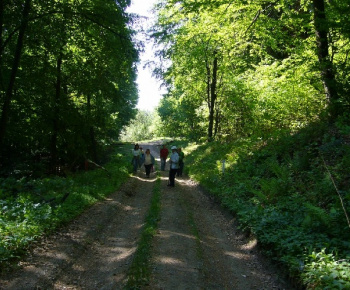 Birinka 2009