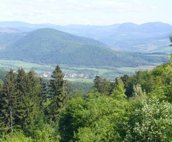 Birinka 2009