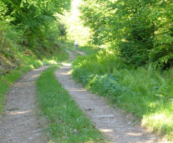 Birinka 2009